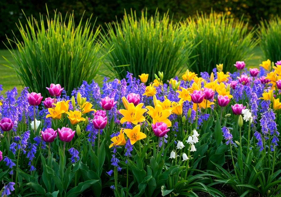 Association de couleurs dans un jardin fleuri facile entretien
