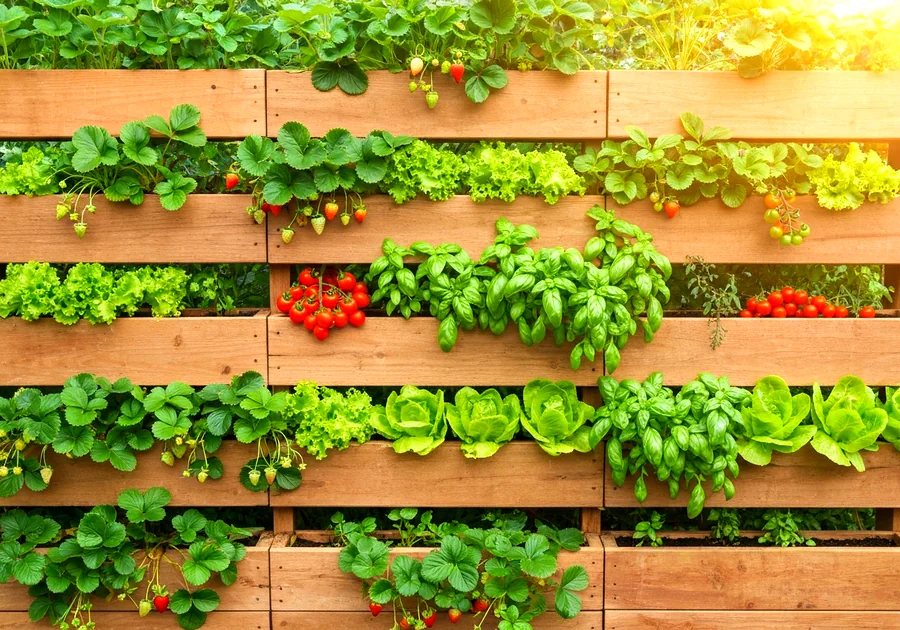 Les meilleures structures pour un potager vertical (DIY ou achat)
