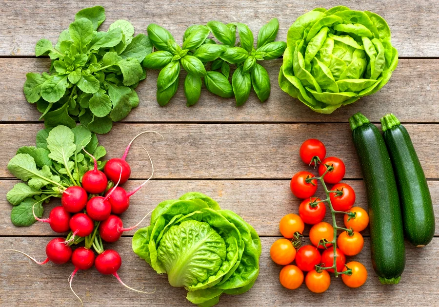 Préparer le sol : la base d'un potager débutant réussi