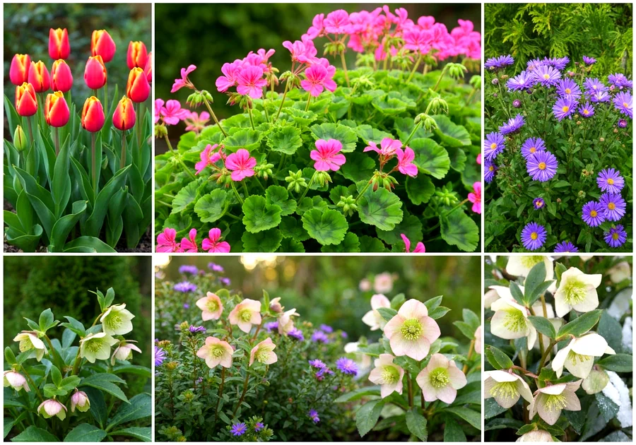 Associer les couleurs et les textures pour une bordure harmonieuse